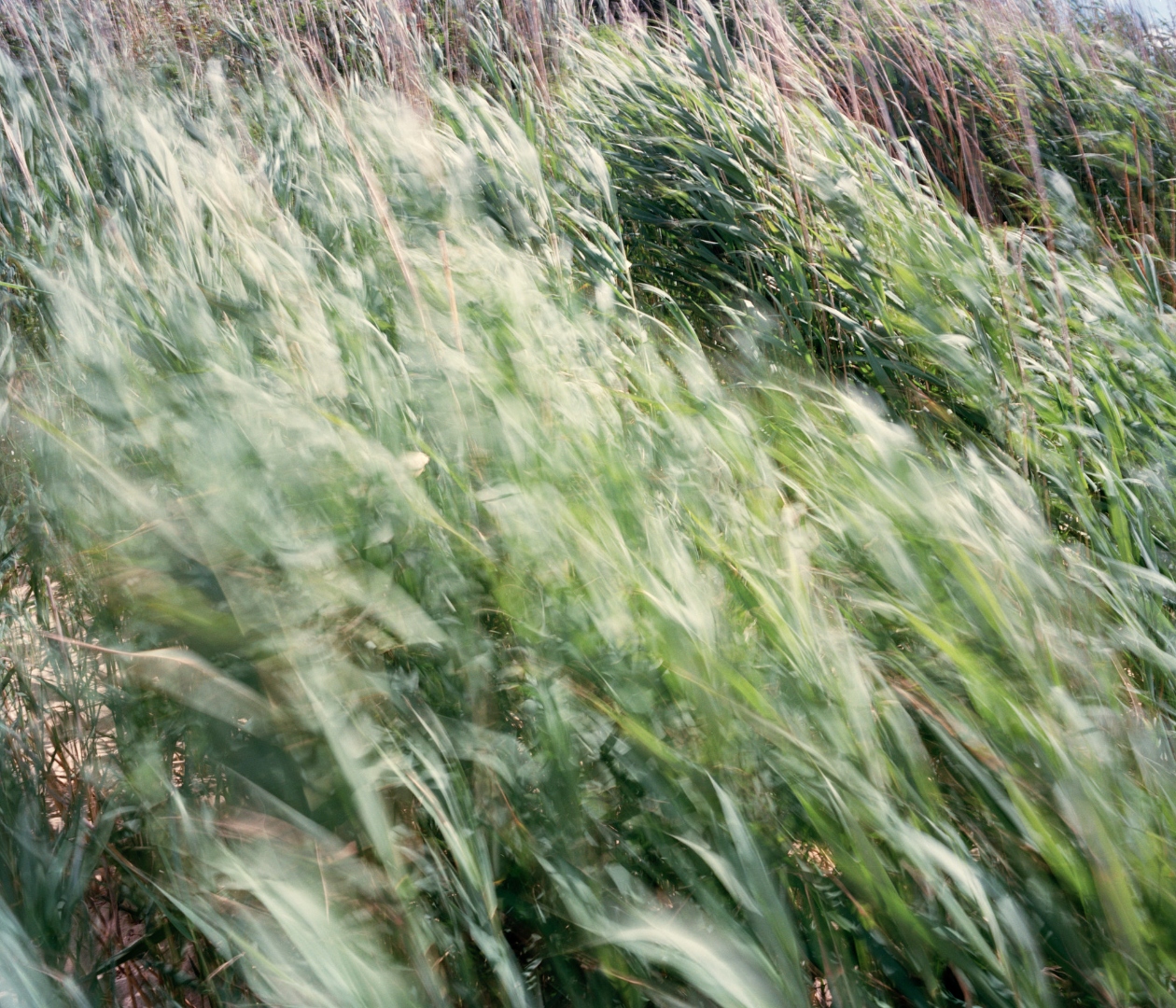 le vent 3