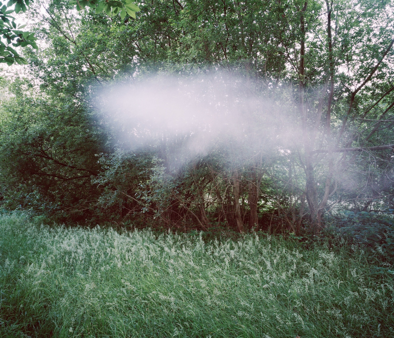 le vent 4