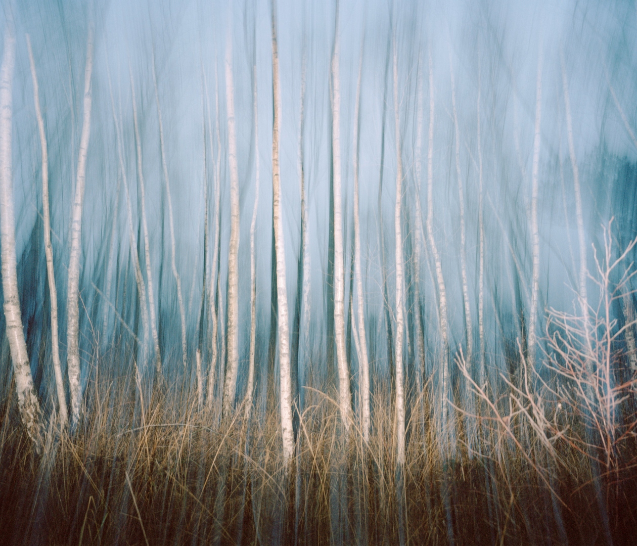 le vent 8